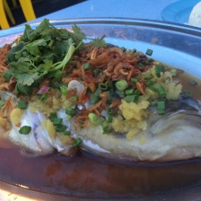 【皇后镇】财记蒸鱼头 + 帝皇苗